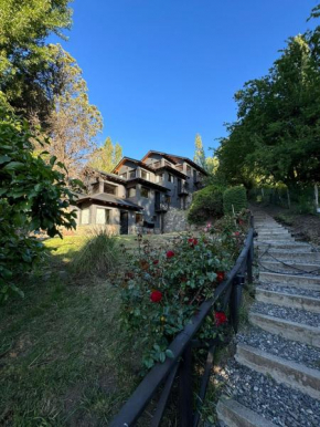 Huilen de Bandurrias San Martin De Los Andes